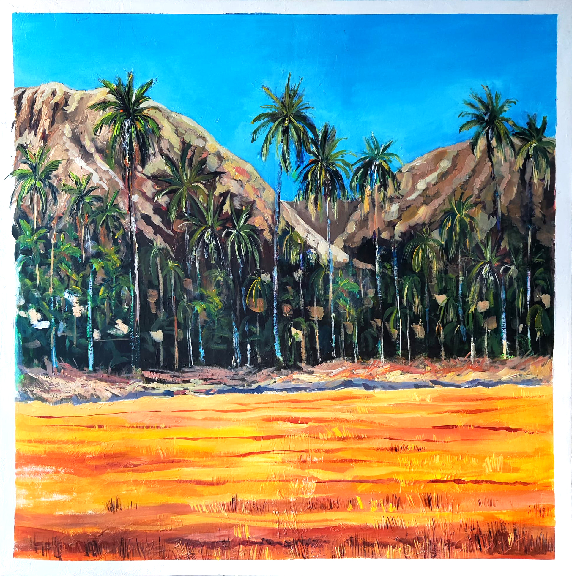 Home palmeral 100x100